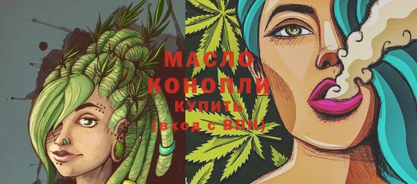 скорость Вяземский