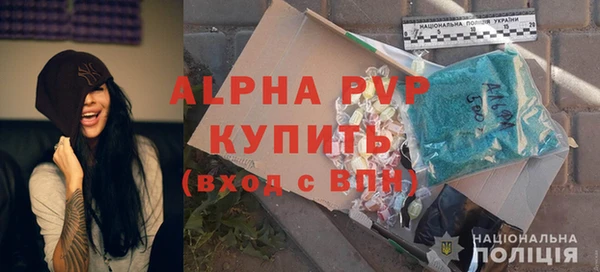 скорость Вяземский