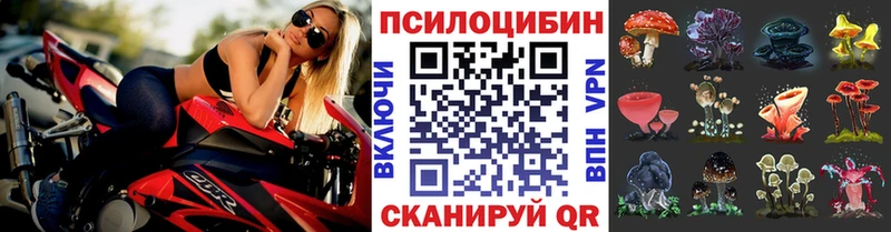 Галлюциногенные грибы GOLDEN TEACHER цены Ивдель